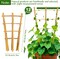 12-Pack 16-Inch Bamboo Plant Trellis – Natural Wood Support Stakes with 50 Ties for Indoor Potted Climbing Plants, Vines & Flowers
